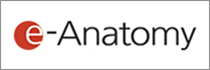 e-Anatomy