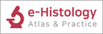 e-Histology